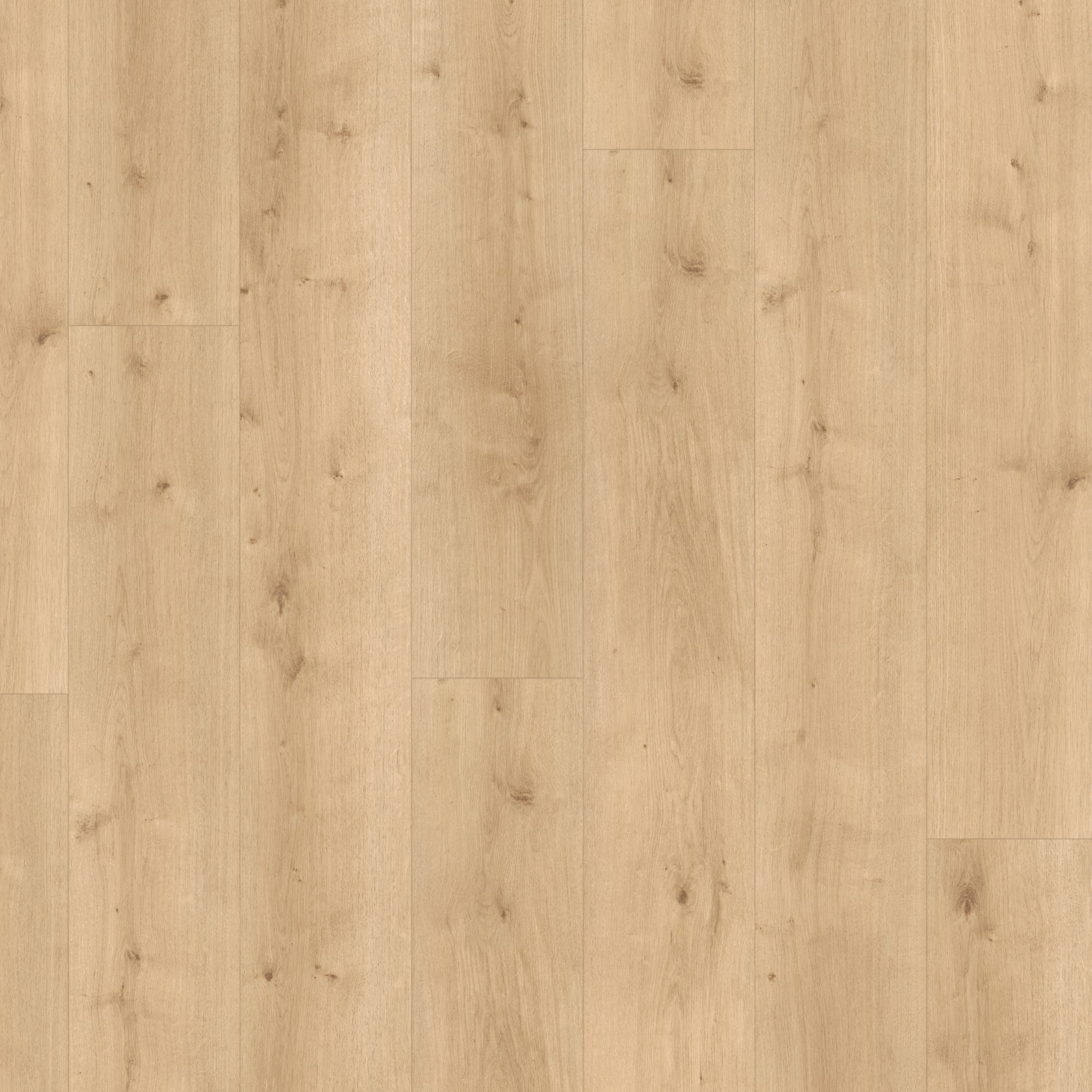 Parador Modular ONE Chateau plank Dub Pure svetlý štruktúra dreva široká lamela 1L M4V, 1730803, 2200x235x8 mm